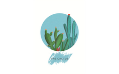 Cactus and Flamingos