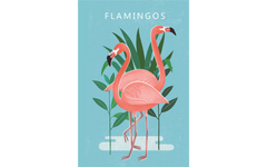 Cactus and Flamingos