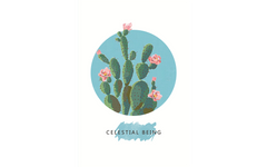 Cactus and Flamingos