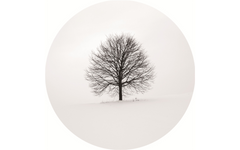 Black and White View