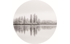 Black and White View