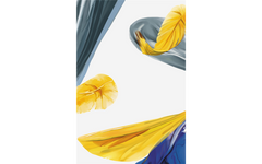 The Floating Feather