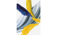 The Floating Feather