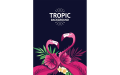 Tropic Love
