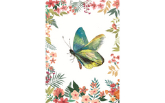 Butterfly in Garden