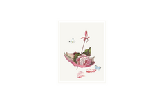 Flowers and Butterflies