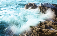 Ravaging Water on Window Roman Shade