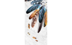 Colored Feather