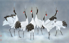 Group of Crane