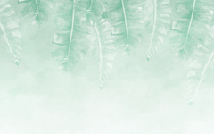 Silhouette of Light Green Tropical Leaves