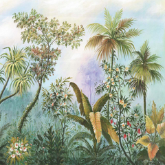 The Beautiful Forest