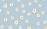 White Flower Pattern Light Blue BG Seamless