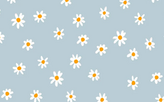 White Flower Pattern Light Blue BG Seamless