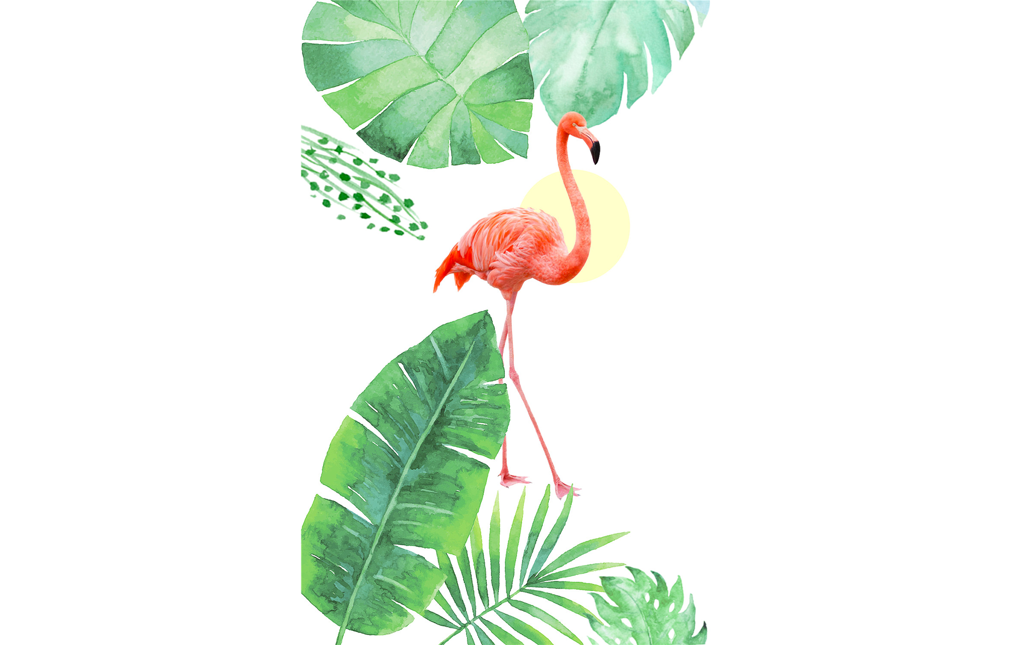 Flamingo Tropical
