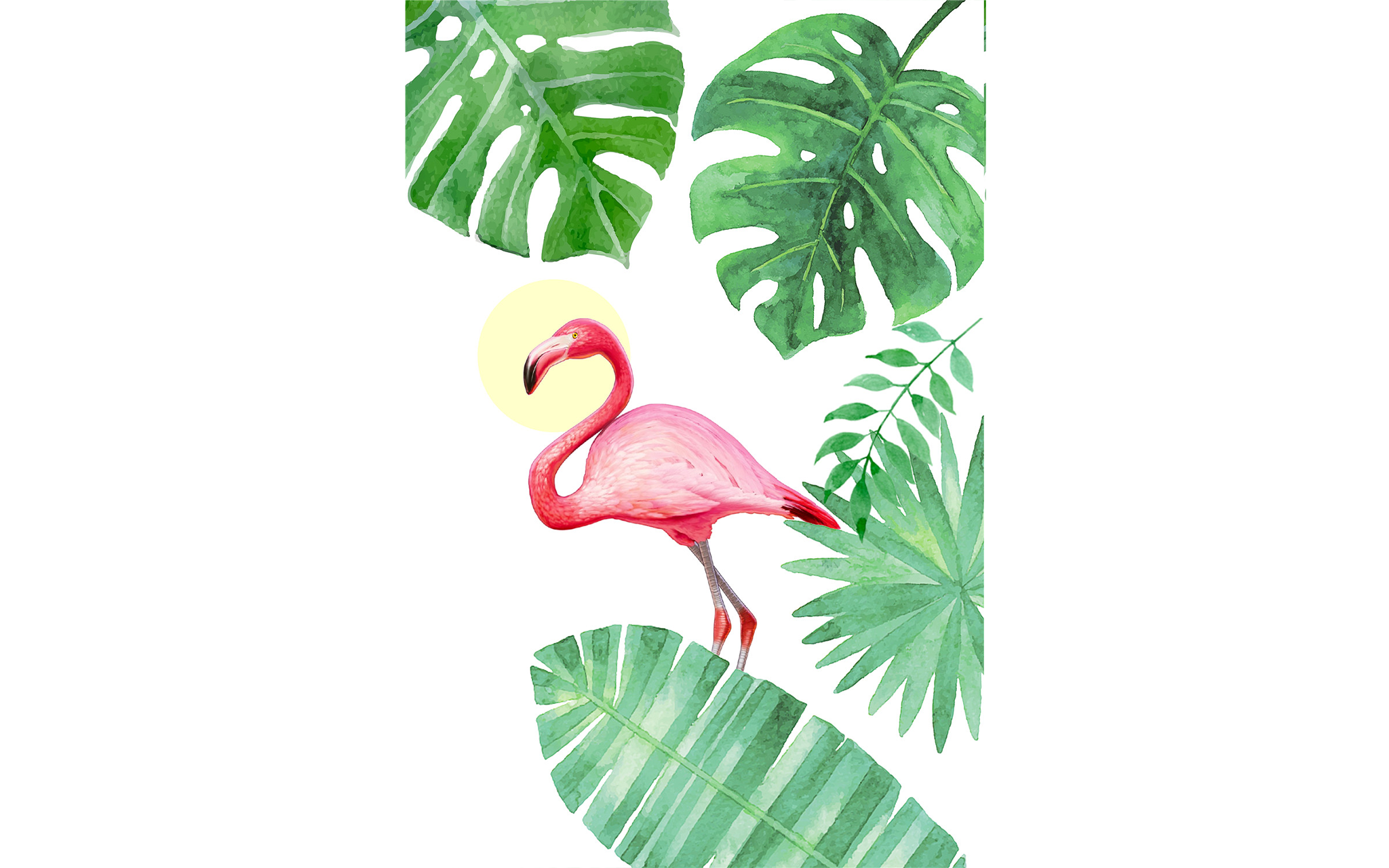 Flamingo Tropical