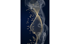 Flock of Gold Birds