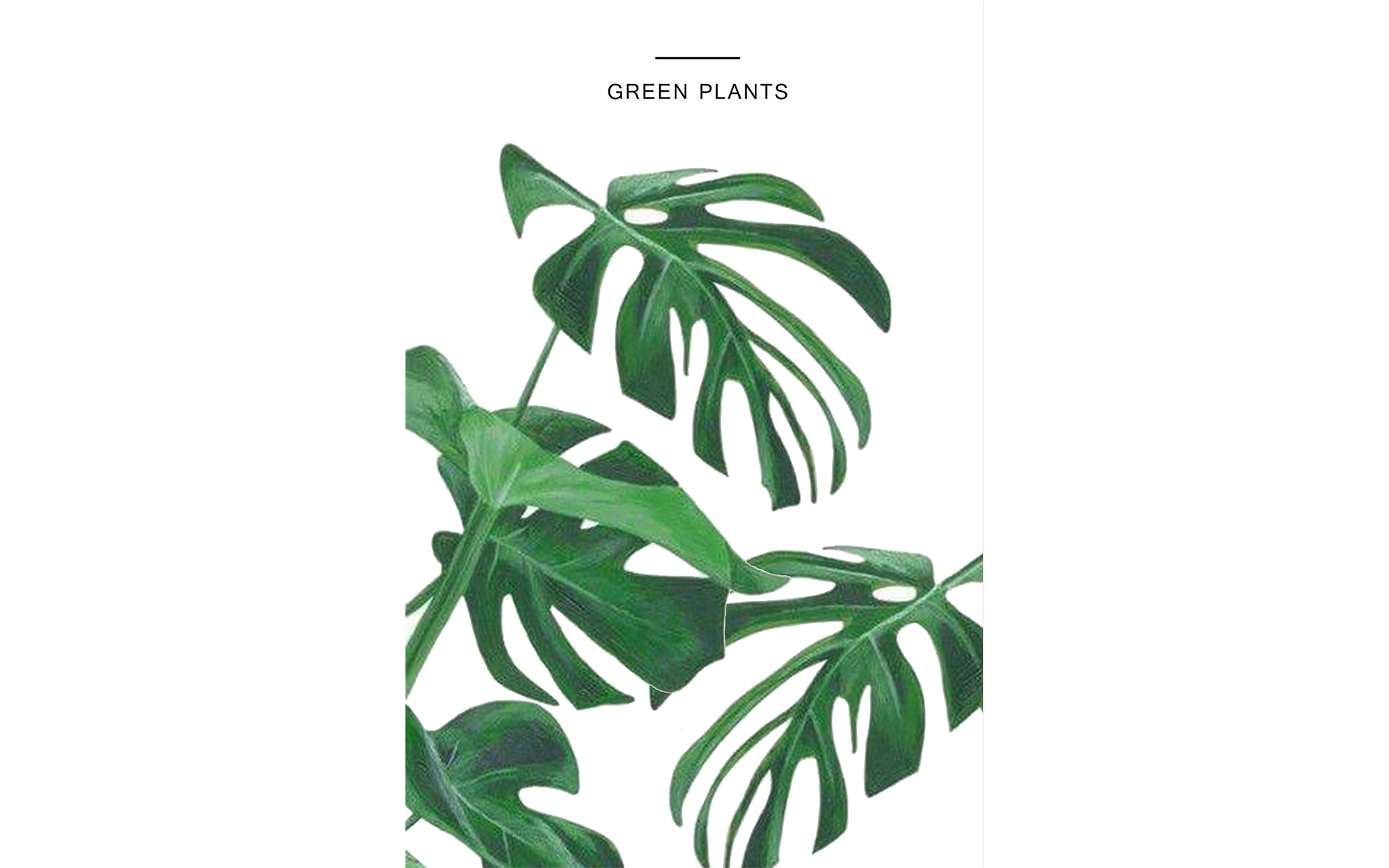 Green Plants