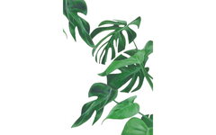 Green Plants