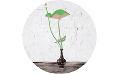 Plant on Vase