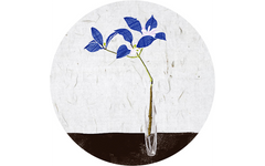 Plant on Vase