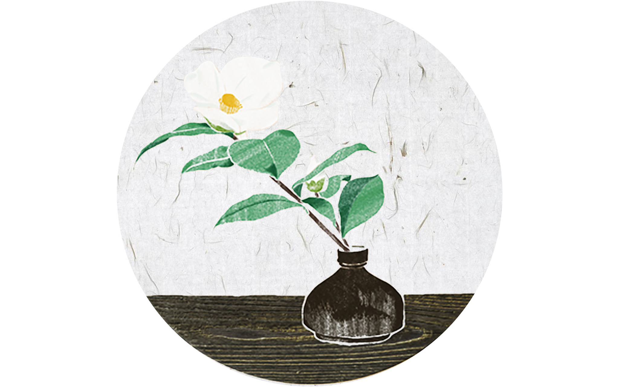 Plant on Vase