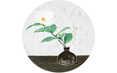 Plant on Vase