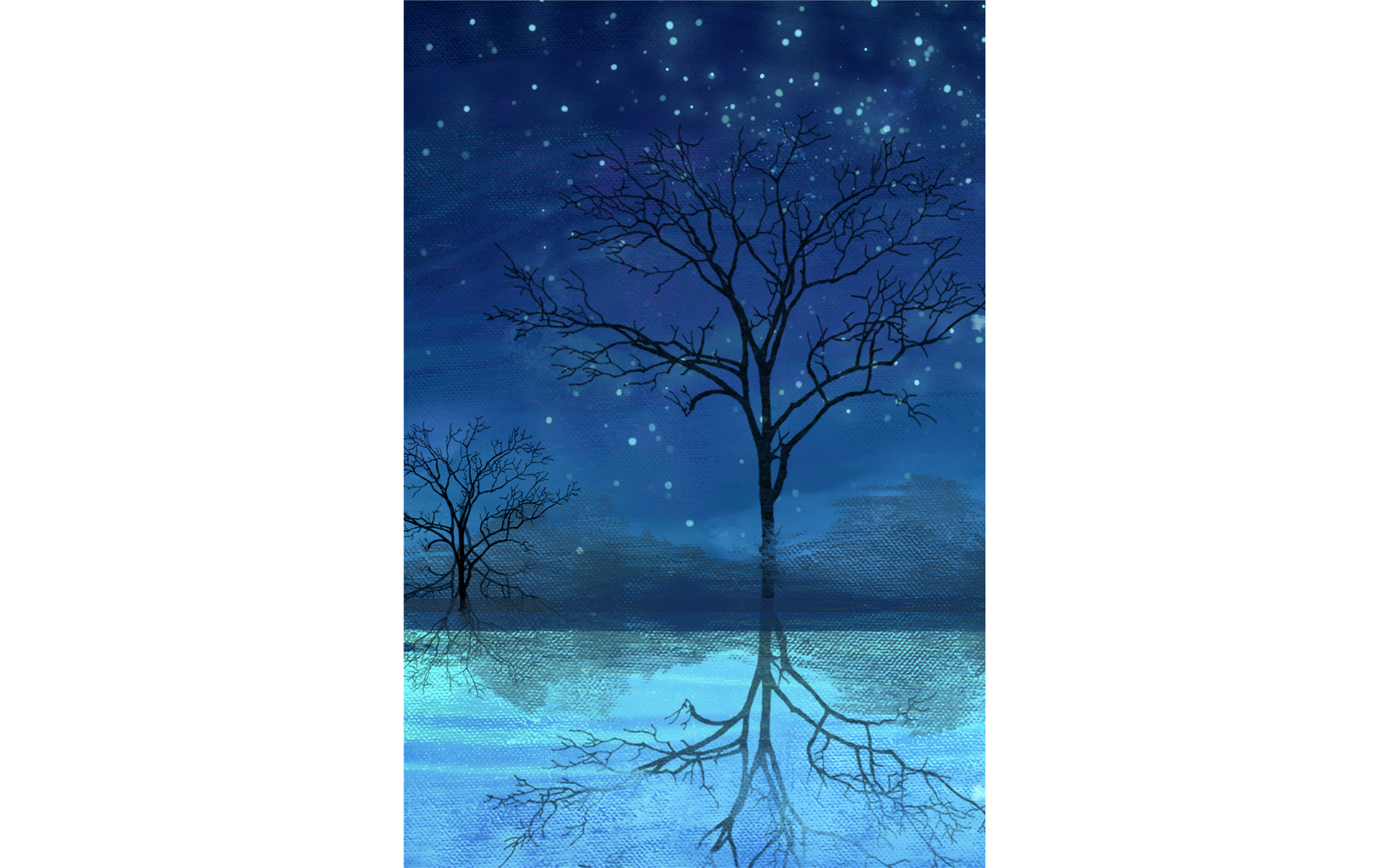 Midnight Scene