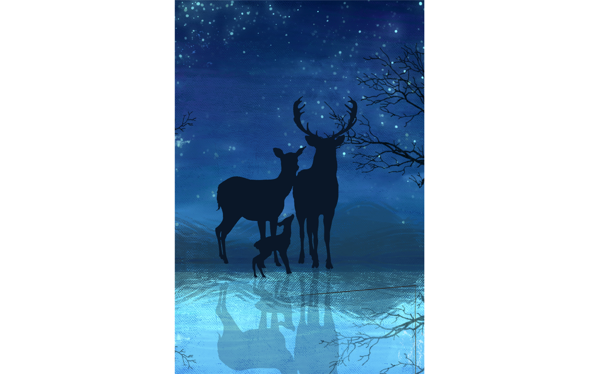Midnight Scene