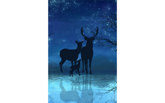 Midnight Scene