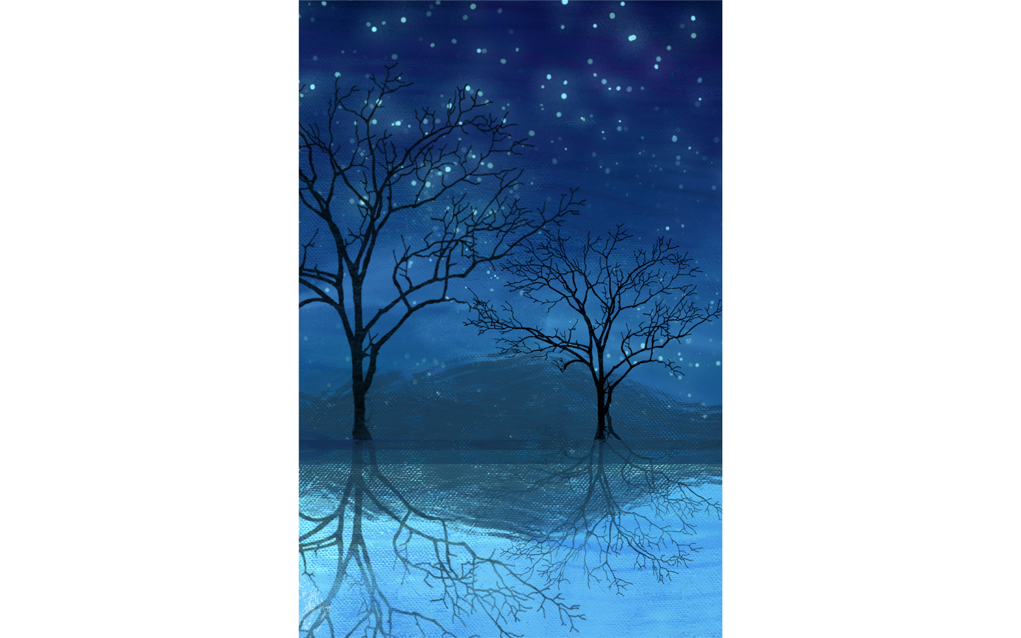 Midnight Scene