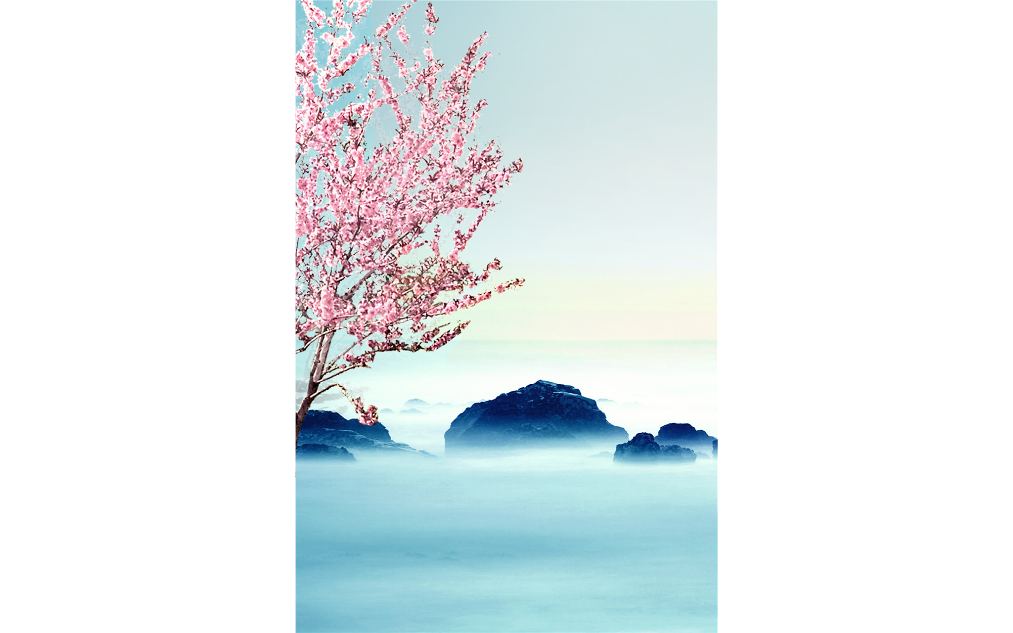 Cherry Blossom View