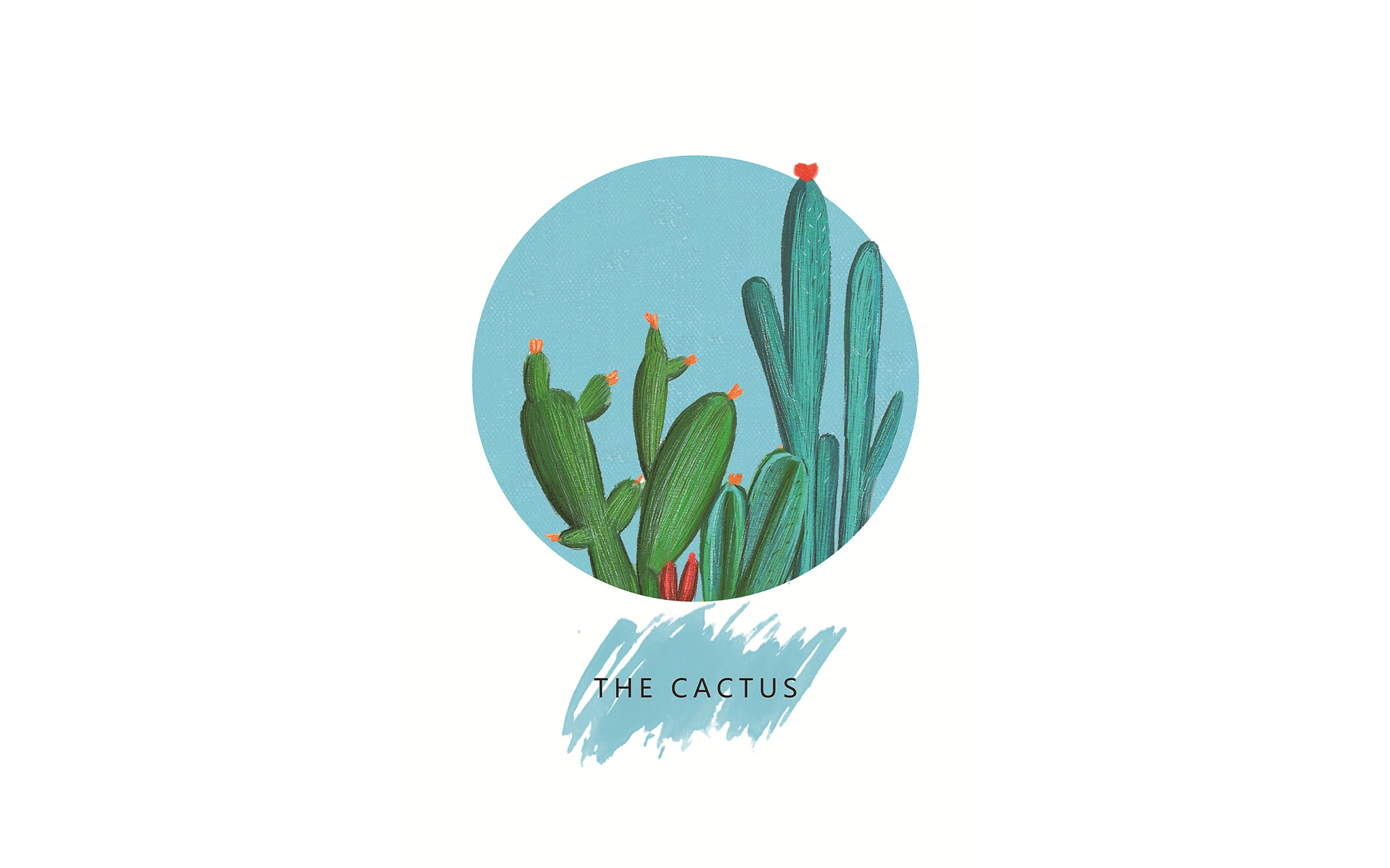 Cactus and Flamingos