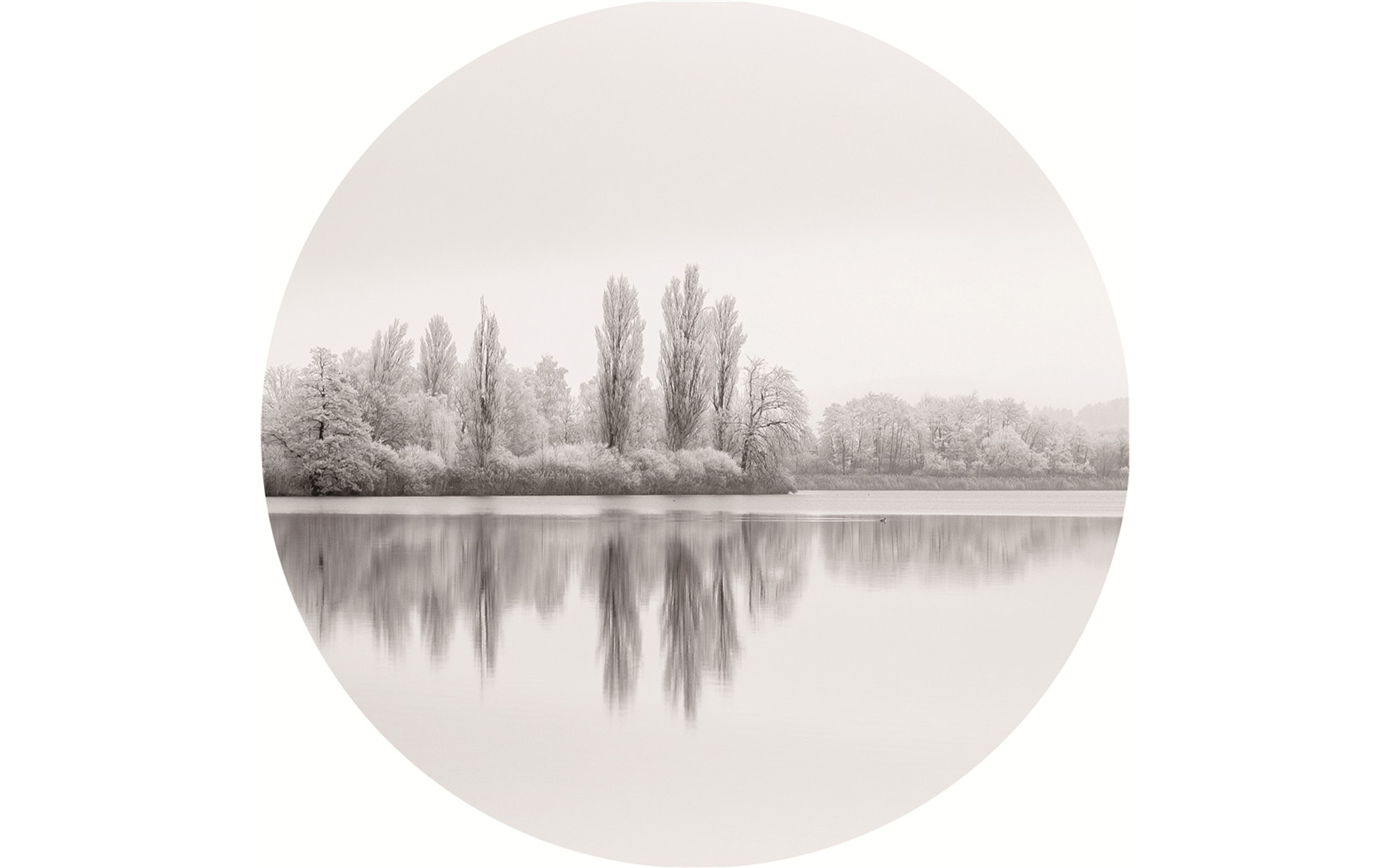 Black and White View