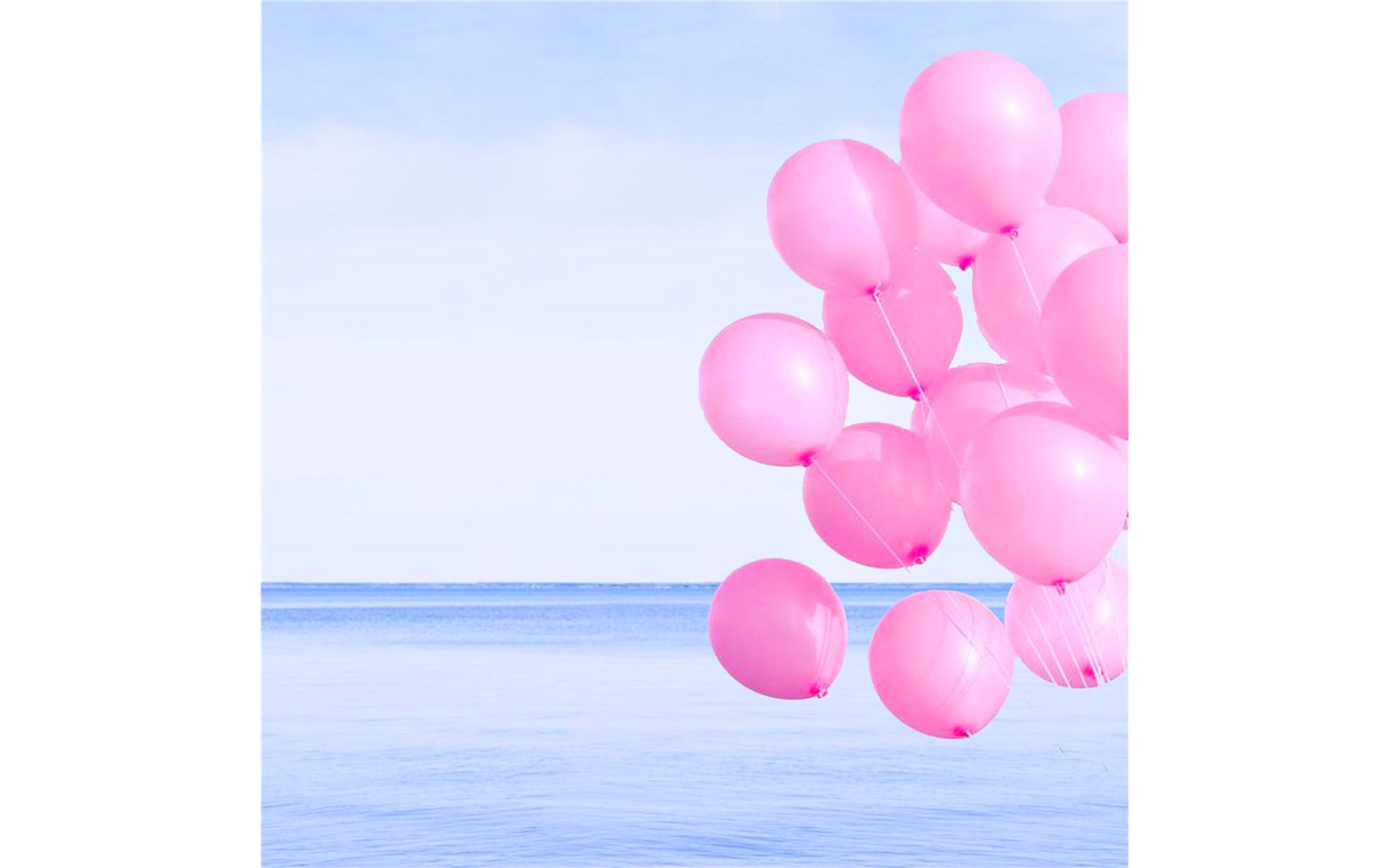 Botanical Plant and Balloon