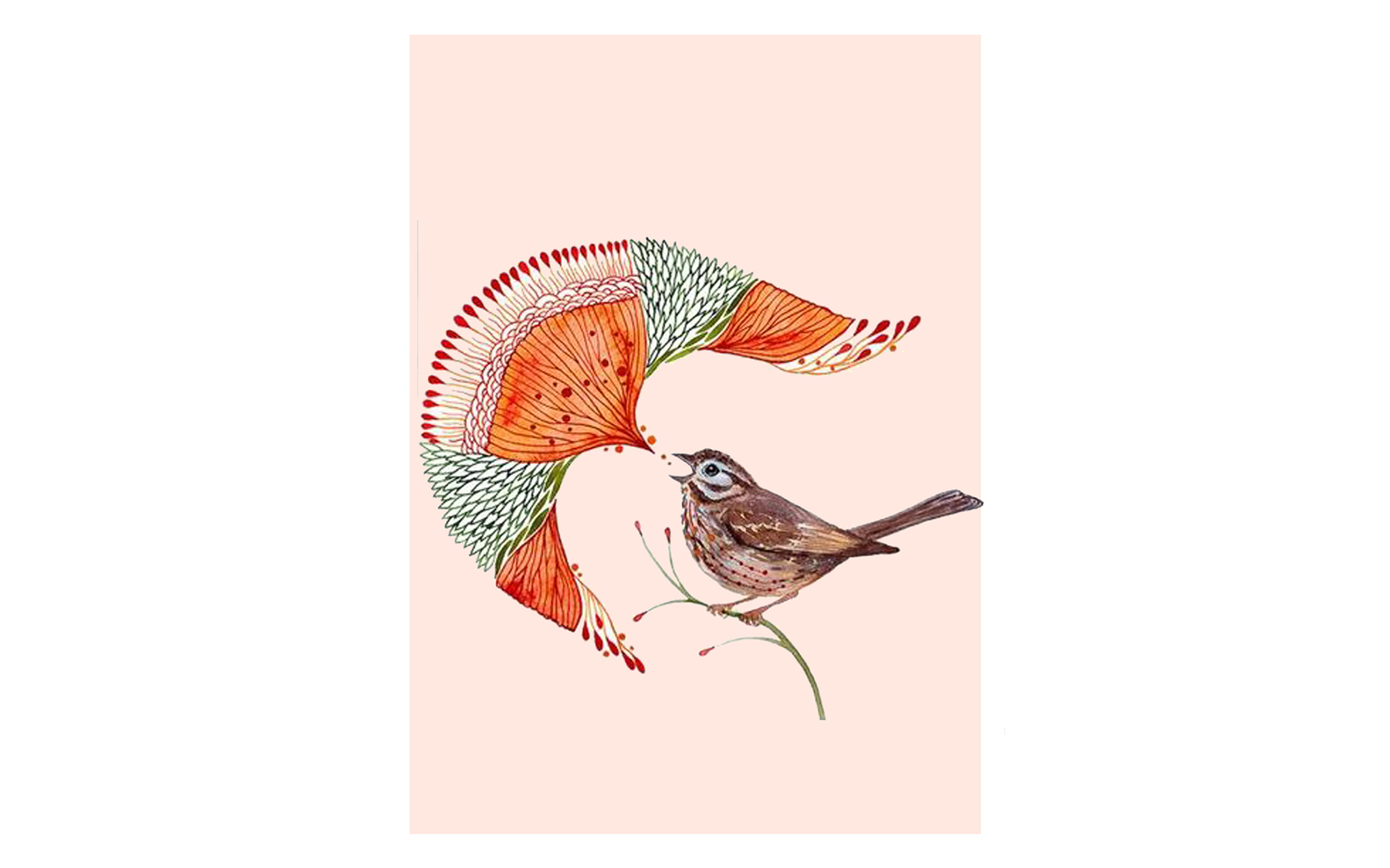 Flower Fusion and Bird Orange BG