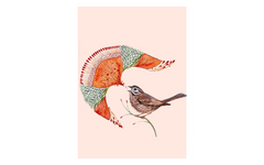 Flower Fusion and Bird Orange BG