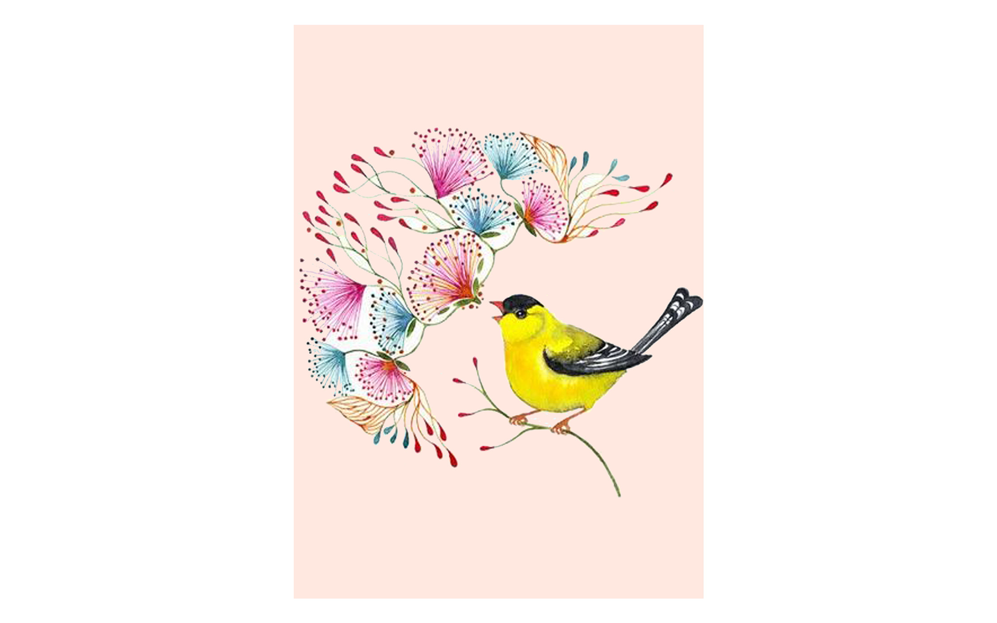 Flower Fusion and Bird Orange BG