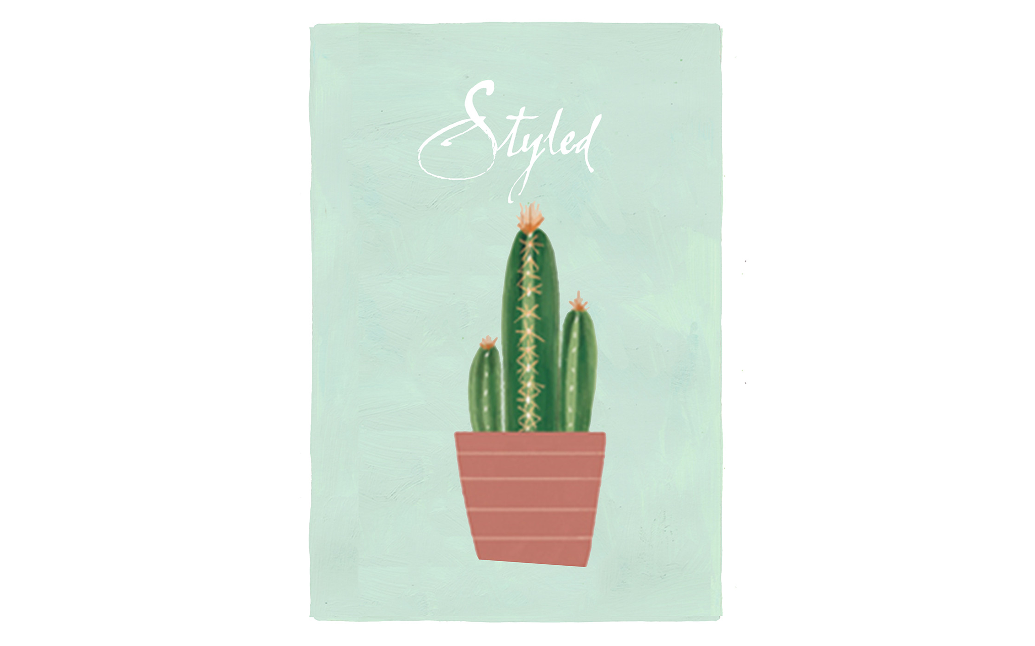 Potted Plant