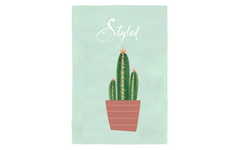 Potted Plant