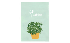 Potted Plant