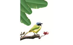 Exotic Small Birds on Leaf