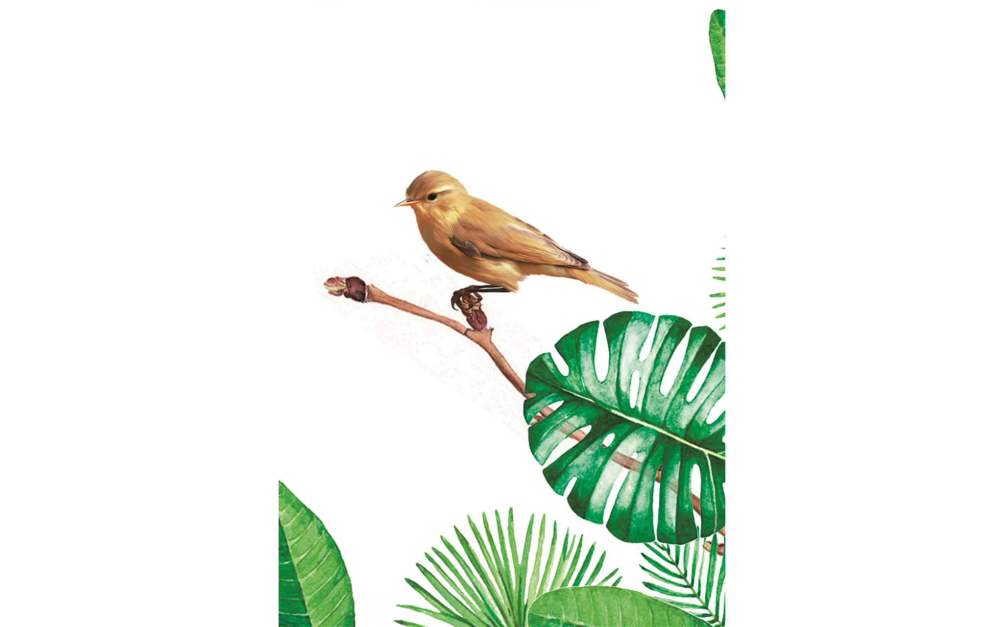 Exotic Small Birds on Leaf