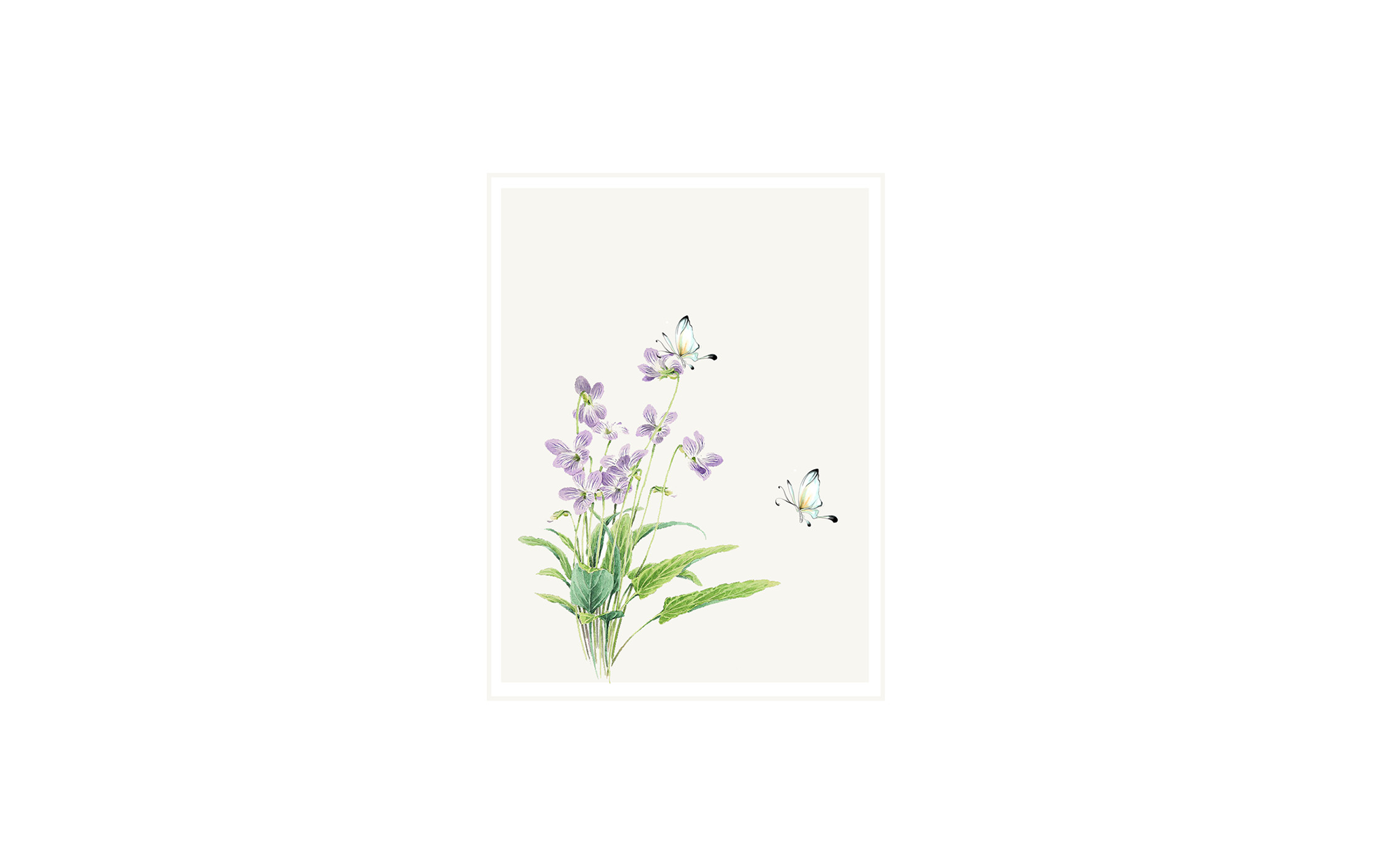 Flowers and Butterflies