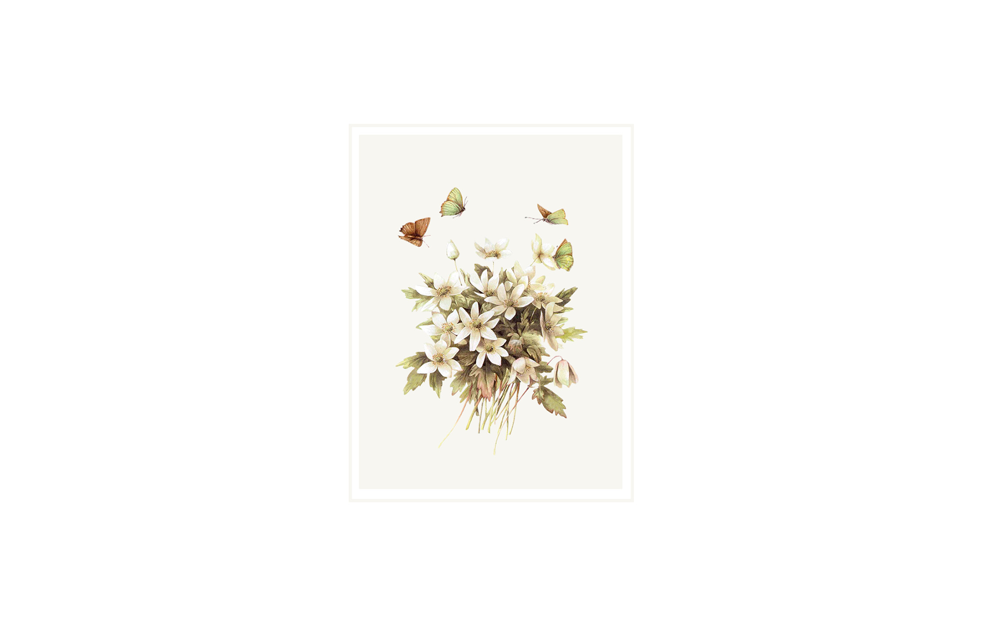 Flowers and Butterflies