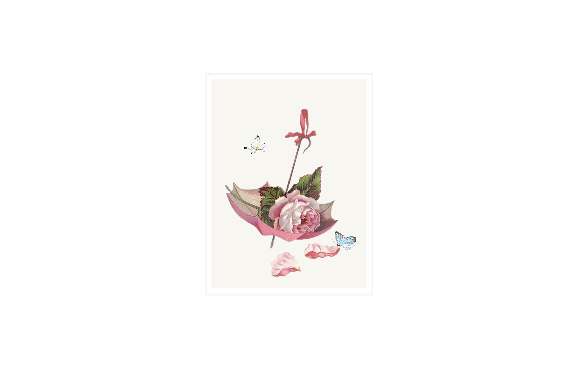Flowers and Butterflies