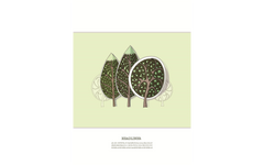Trees within Leaves
