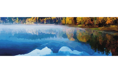 The Painted View
