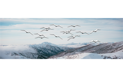 Blue Layer Mountain