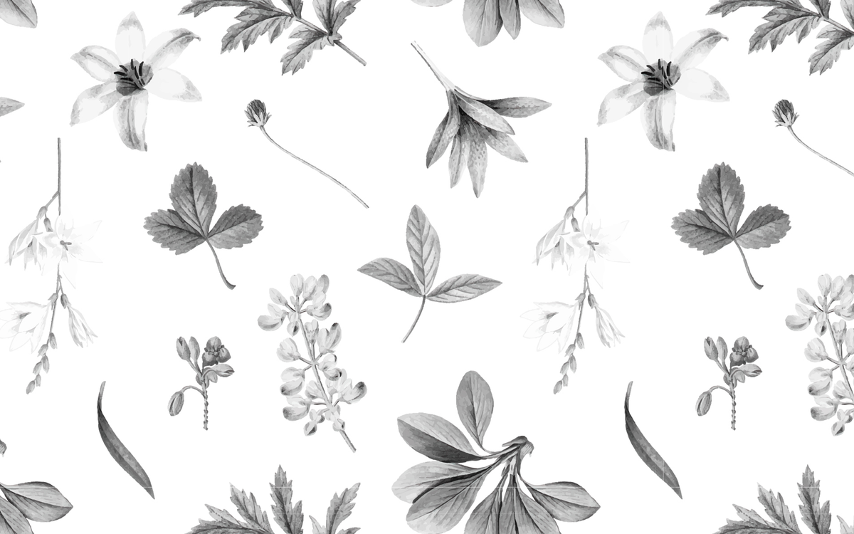 Black and White Plants and Leaves Pattern White BG Seamless