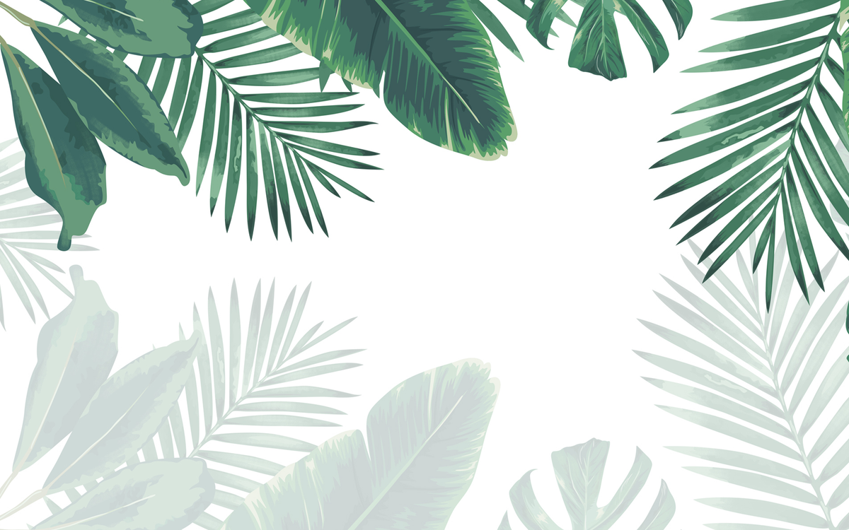 Cool Tropical Green and Light Green Leaves